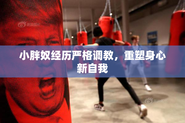 小胖奴经历严格调教，重塑身心新自我