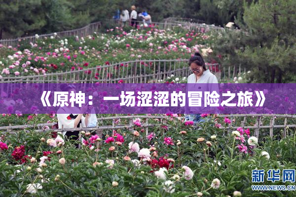 《原神：一场涩涩的冒险之旅》