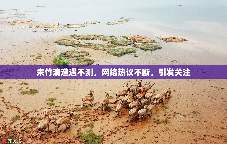 朱竹清遭遇不测，网络热议不断，引发关注