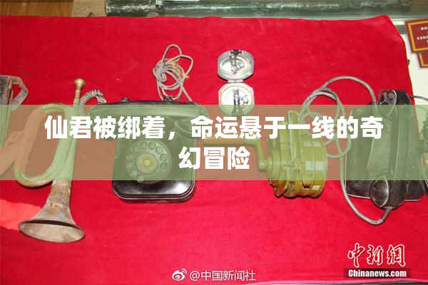 仙君被绑着，命运悬于一线的奇幻冒险