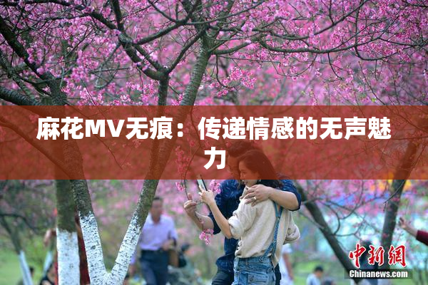 麻花MV无痕：传递情感的无声魅力