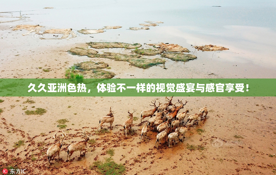 久久亚洲色热，体验不一样的视觉盛宴与感官享受！
