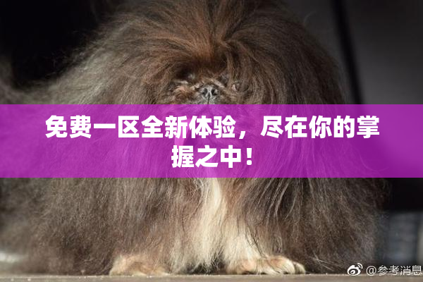 免费一区全新体验，尽在你的掌握之中！