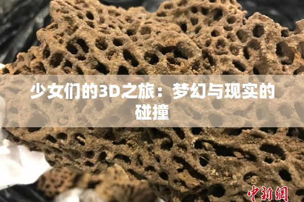 少女们的3D之旅：梦幻与现实的碰撞