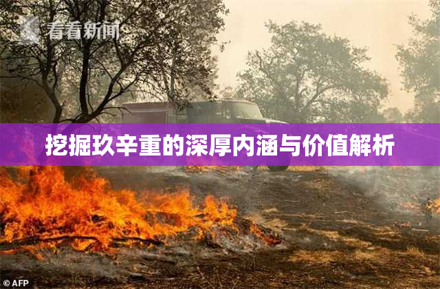 挖掘玖辛重的深厚内涵与价值解析