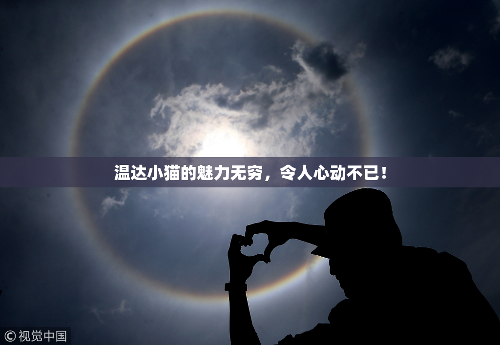 温达小猫的魅力无穷，令人心动不已！