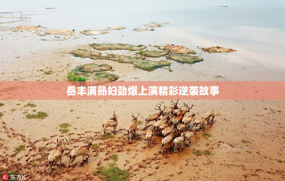 岳丰满熟妇劲爆上演精彩逆袭故事