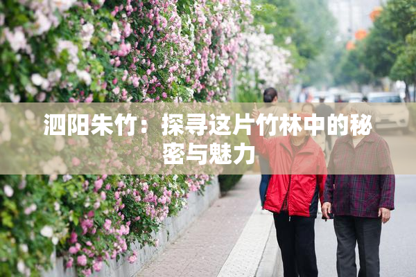 泗阳朱竹：探寻这片竹林中的秘密与魅力