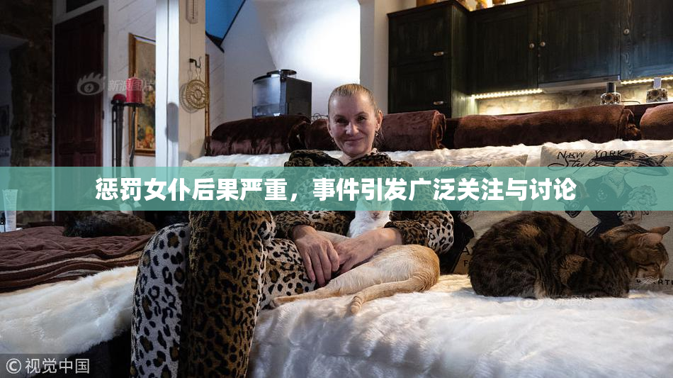 惩罚女仆后果严重，事件引发广泛关注与讨论