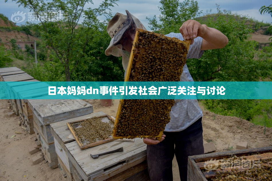 日本妈妈dn事件引发社会广泛关注与讨论