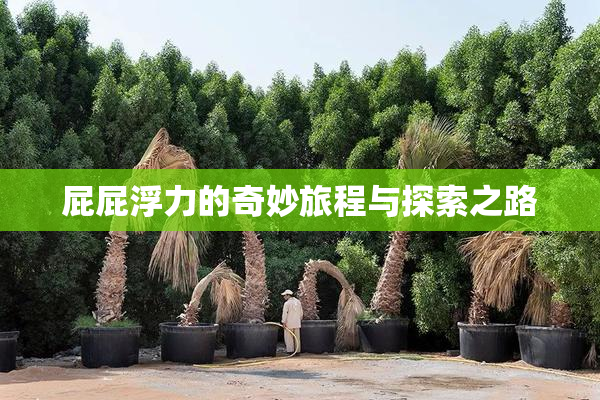 屁屁浮力的奇妙旅程与探索之路