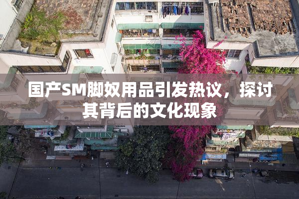 国产SM脚奴用品引发热议，探讨其背后的文化现象
