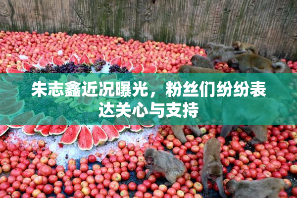 朱志鑫近况曝光，粉丝们纷纷表达关心与支持