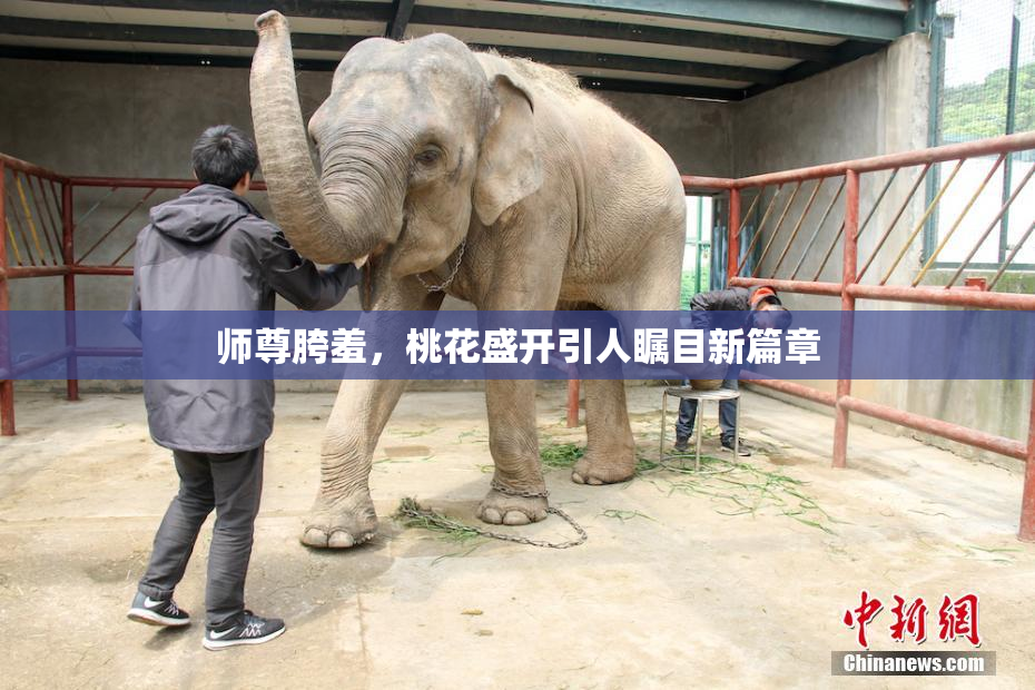 师尊胯羞，桃花盛开引人瞩目新篇章