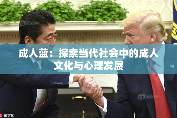 成人蓝：探索当代社会中的成人文化与心理发展