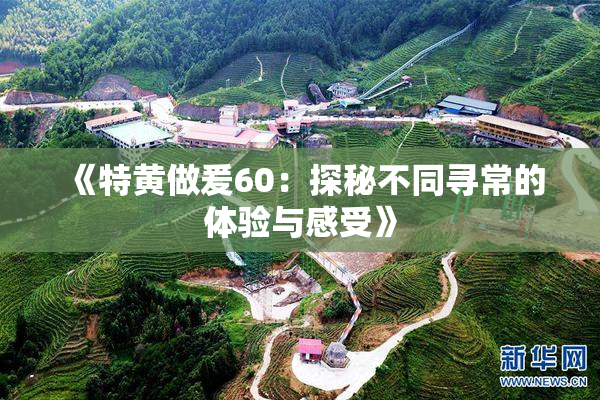 《特黄做爰60：探秘不同寻常的体验与感受》
