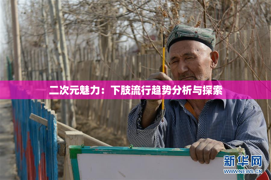 二次元魅力：下肢流行趋势分析与探索