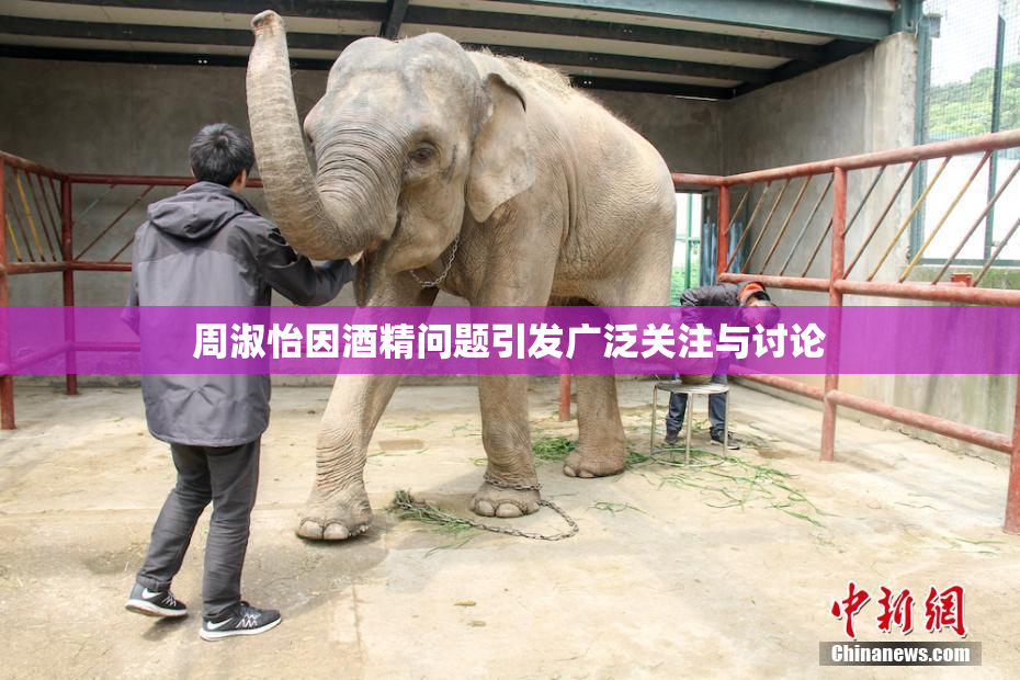 周淑怡因酒精问题引发广泛关注与讨论