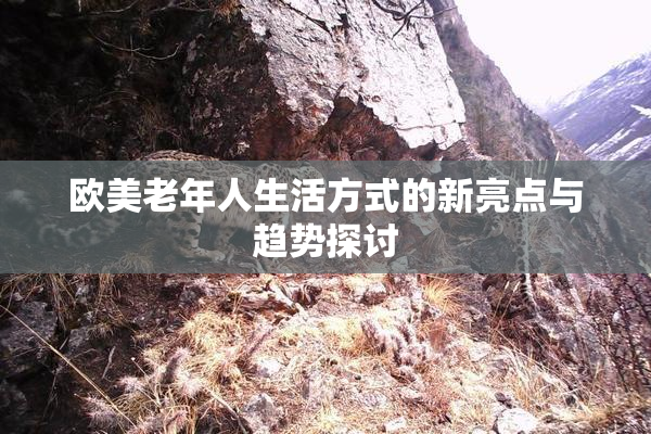 欧美老年人生活方式的新亮点与趋势探讨