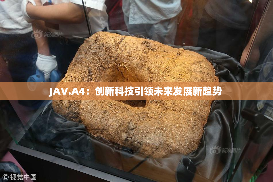 JAV.A4：创新科技引领未来发展新趋势