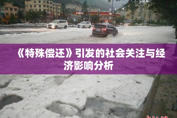 《特殊偿还》引发的社会关注与经济影响分析