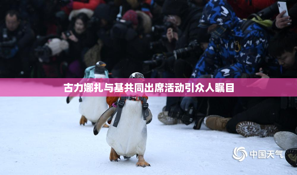 古力娜扎与基共同出席活动引众人瞩目