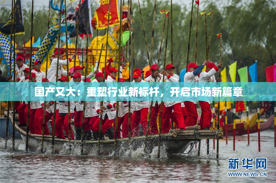 国产又大：重塑行业新标杆，开启市场新篇章