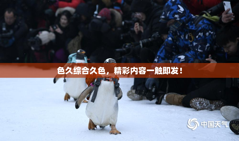 色久综合久色，精彩内容一触即发！