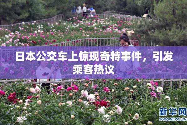 日本公交车上惊现奇特事件，引发乘客热议