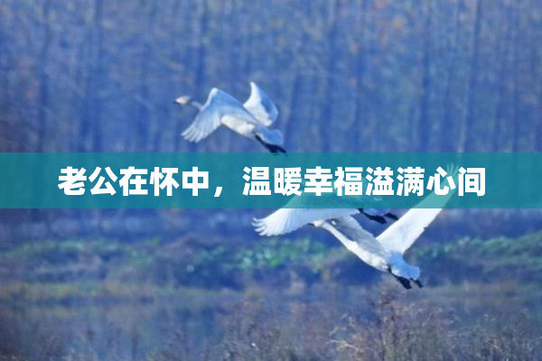 老公在怀中，温暖幸福溢满心间