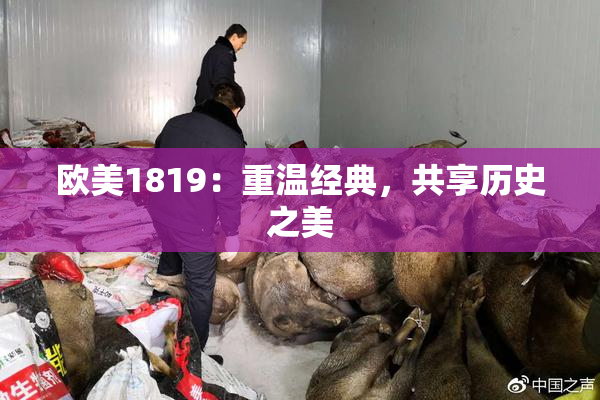 欧美1819：重温经典，共享历史之美