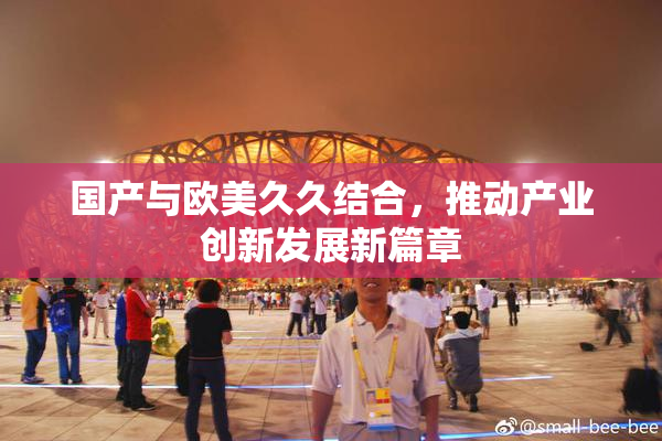 国产与欧美久久结合，推动产业创新发展新篇章