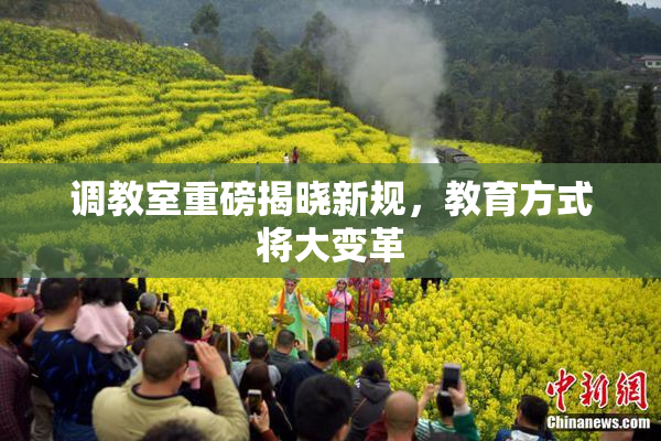 调教室重磅揭晓新规，教育方式将大变革