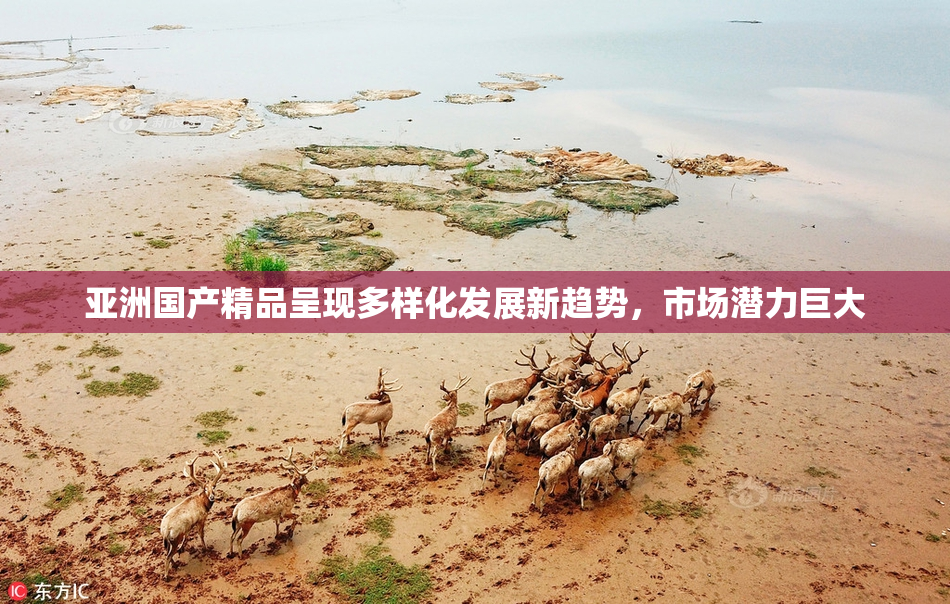 亚洲国产精品呈现多样化发展新趋势，市场潜力巨大