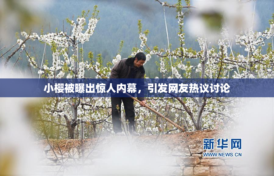 小樱被曝出惊人内幕，引发网友热议讨论