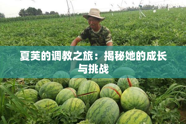 夏芙的调教之旅：揭秘她的成长与挑战