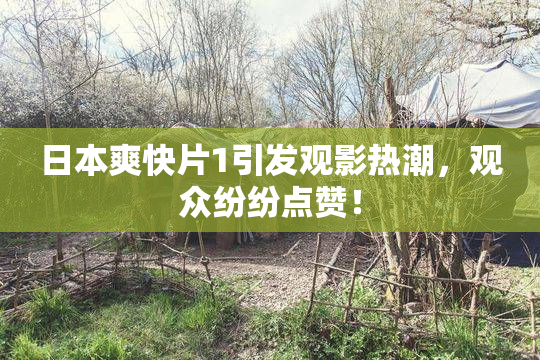 日本爽快片1引发观影热潮，观众纷纷点赞！