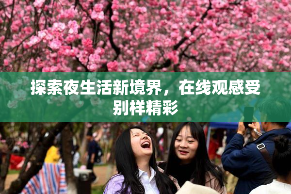 探索夜生活新境界，在线观感受别样精彩