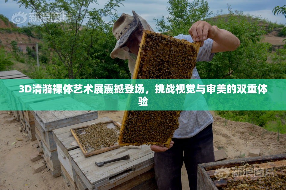 3D清漪裸体艺术展震撼登场，挑战视觉与审美的双重体验