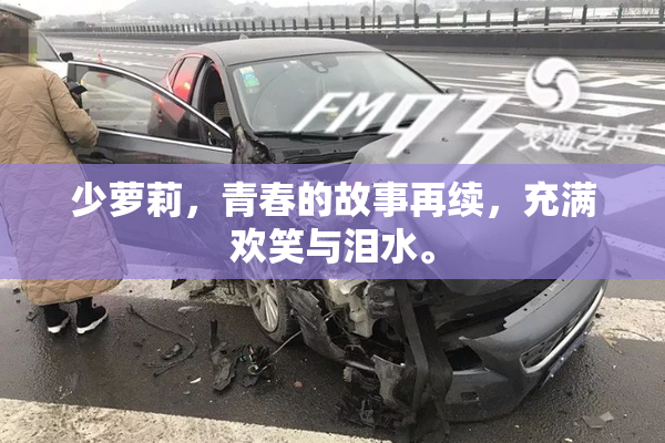 少萝莉，青春的故事再续，充满欢笑与泪水。