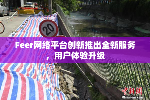 Feer网络平台创新推出全新服务，用户体验升级