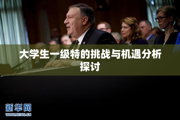 大学生一级特的挑战与机遇分析探讨