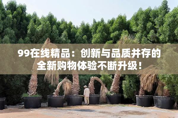99在线精品：创新与品质并存的全新购物体验不断升级！