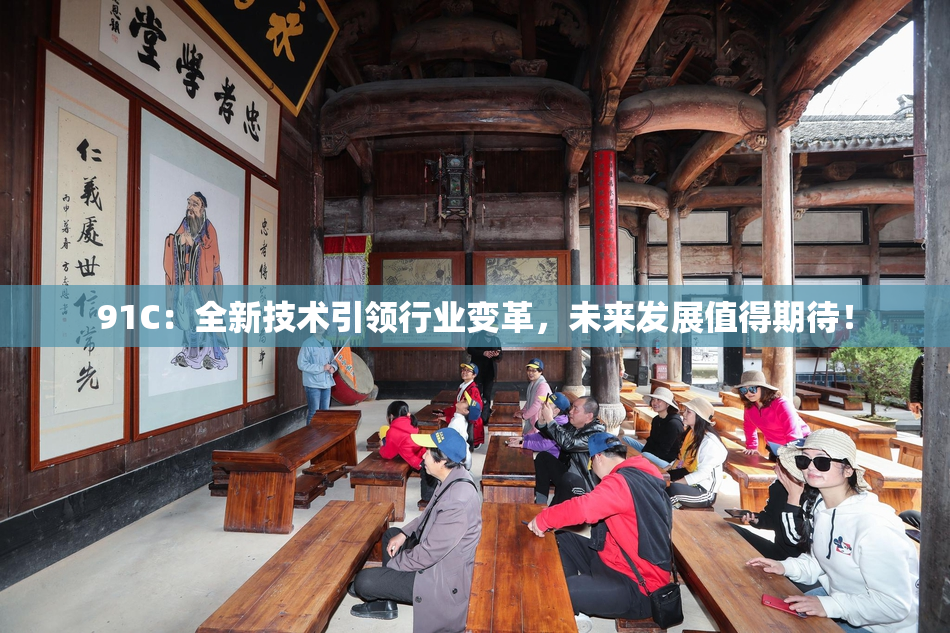 91C：全新技术引领行业变革，未来发展值得期待！