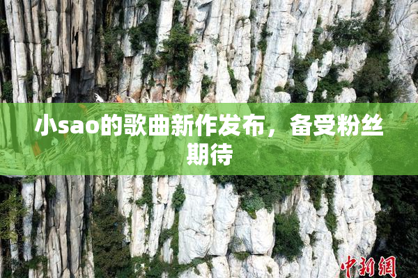 小sao的歌曲新作发布，备受粉丝期待