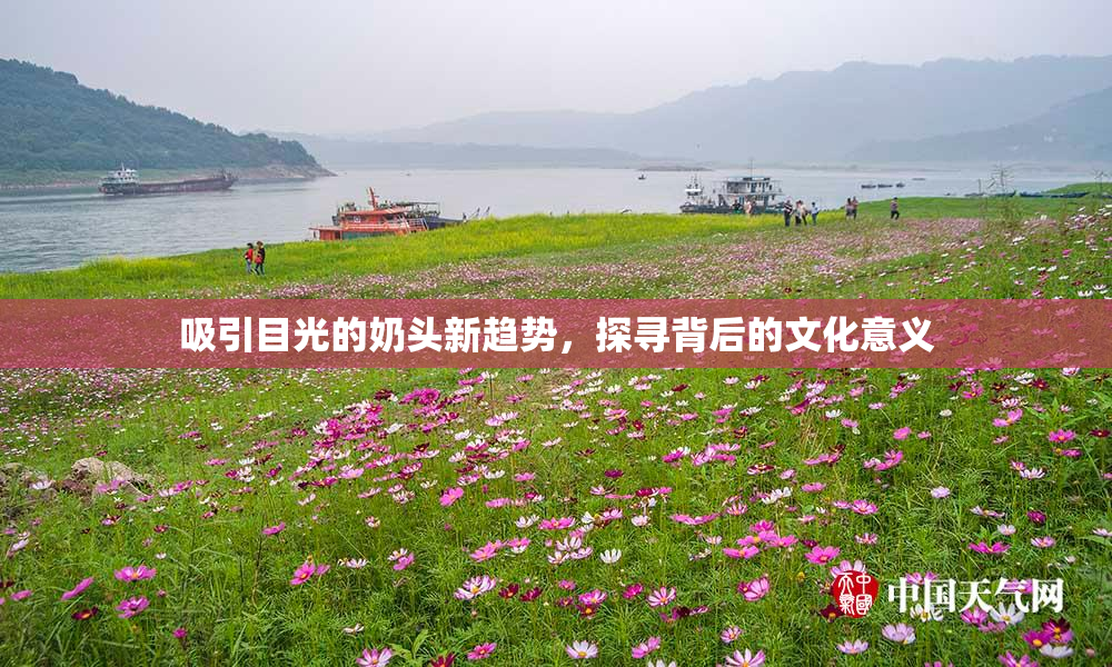 吸引目光的奶头新趋势，探寻背后的文化意义