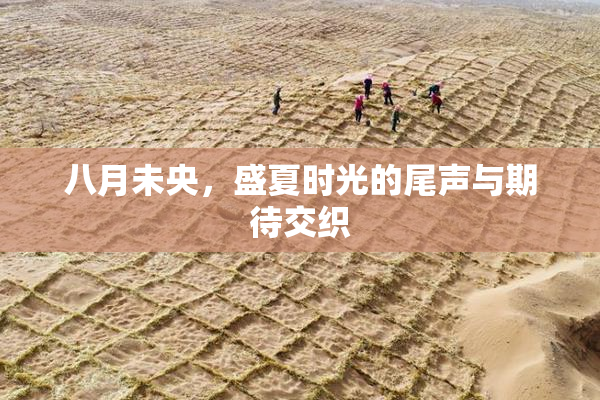 八月未央，盛夏时光的尾声与期待交织
