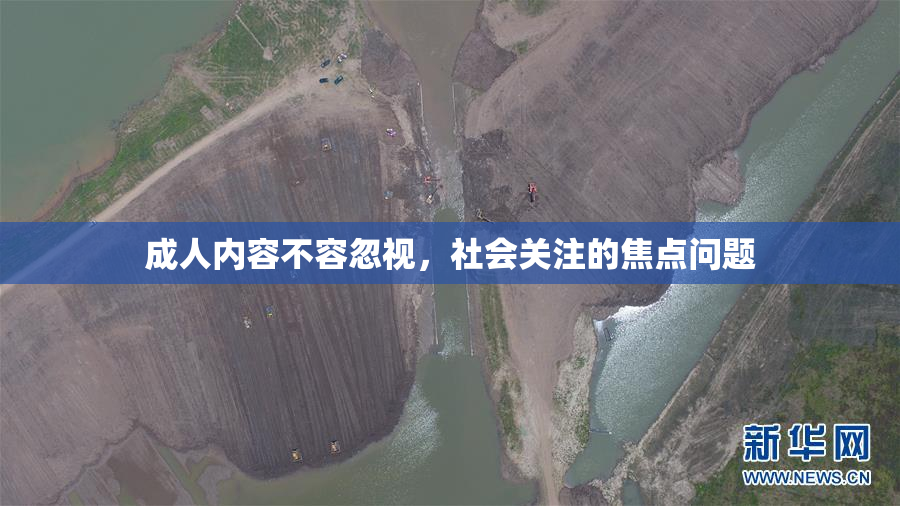 成人内容不容忽视，社会关注的焦点问题
