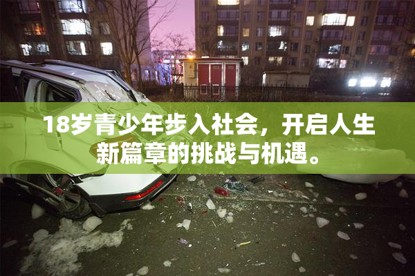 18岁青少年步入社会，开启人生新篇章的挑战与机遇。
