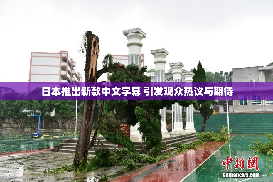 日本推出新款中文字幕 引发观众热议与期待